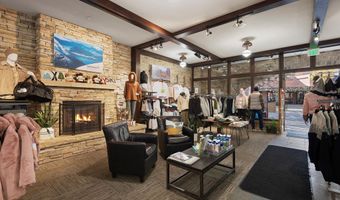 408 E Cooper Ave, Aspen, CO 81611