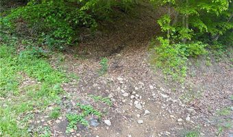 868 Bulger Rd, Alkol, WV 25501