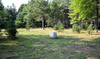 9537 LAKEVIEW, Alanson, MI 49706