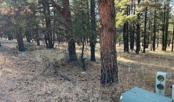 Jackson Hole lot 14, Angel Fire, NM 87710