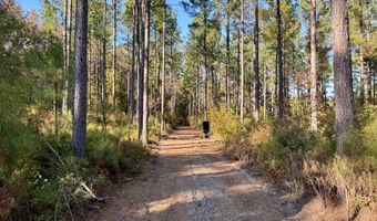 TBD Binnicker Bridge Road, Bamberg, SC 29003