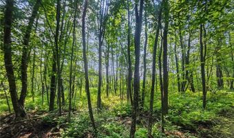28017 303rd Pl, Aitkin, MN 56431