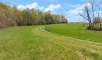 Martha Stockton Road, Albany, KY 42602