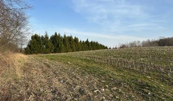 Lot 4 Mud Run Rd, Addison, NY 14801