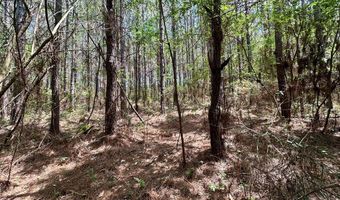 2316 Traci Loop, Bogue Chitto, MS 39629