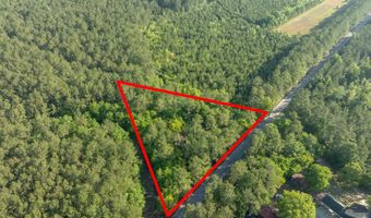 Ethridge Drive, Andrews, SC 29510