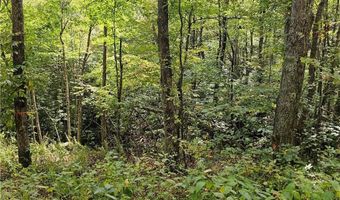 Lot 29 Lee Gualtney Road, Banner Elk, NC 28604