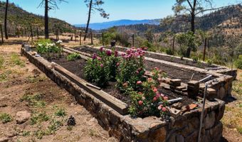 3335 Friesen Dr, Angwin, CA 94508