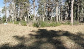 Lot 15 Fly Rod Trail, Wisconsin Rapids, WI 54494