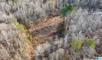 BRUSH CREEK DRIVE lot 0, Akron, AL 35441