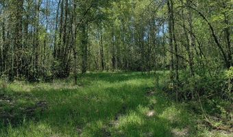 0 W Main St, Battle Ground, WA 98604