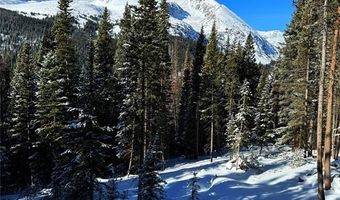 868 NUTHATCH Dr, Alma, CO 80420