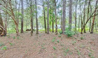 19922 NW 131ST Pl, Alachua, FL 32615