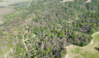 378 County Road 1219, Arlington, KY 42021