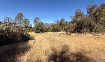 41902 Woodward Way, Ahwahnee, CA 93601