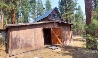40 Acres Off 36N06, Adin, CA 96006