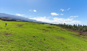 Kamehameiki Rd, Kula, HI 96790