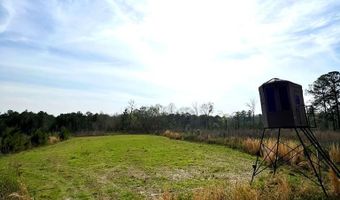 5000 County Road 53, Banks, AL 36005