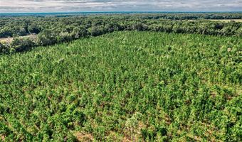 SW 120 Avenue, Archer, FL 32618