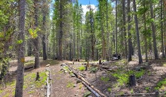 2221 Kootchie Kootchie Rd Lot 0, Alma, CO 80420
