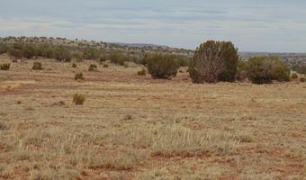 42 N5576, Concho, AZ 85924