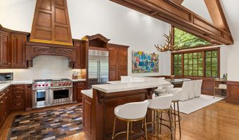 918 S Mill St A, Aspen, CO 81611
