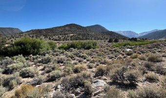 1220 SETTLER'S Way, Dyer, NV 89010