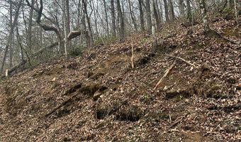 Tatham Gap Road, Andrews, NC 28901