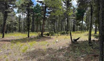 S Vail Overlook lot 310, Angel Fire, NM 87710