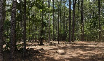 Lot 6 Lighthouse Point, Lincolnton, GA 30817