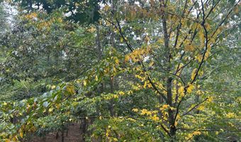 404 SPITZ Lane Unit 88 A & B 88 A & B, Basye, VA 22810