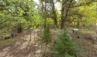 452 QUARTZVILLE Rd, Alma, CO 80420