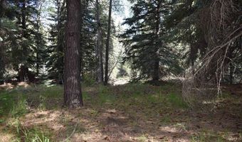 Vallecito Pl, Bayfield, CO 81122