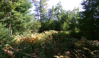 V/L 30AC Lake Winyah Road, Alpena, MI 49707