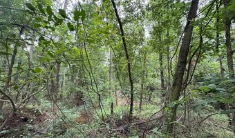 0 LA Hwy 442, Albany, LA 70711