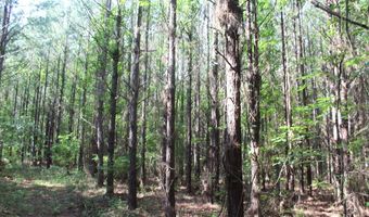 0000 Highway 550 NW, Brookhaven, MS 39601