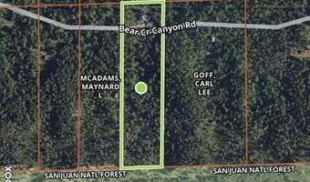 2237 Bear Creek Canyon Rd, Bayfield, CO 81122