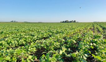 TBD Hwy 14, Allison, IA 50602