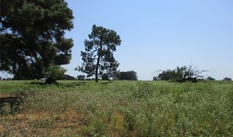 Rains County Road 2360, Alba, TX 75410