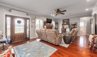 165 Harris Grove Cemetery Rd, Alamo, TN 38001