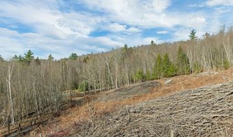 Oakcrest Road lot 41, Bristol, NH 03222