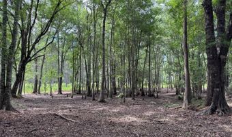 Fox Paw Court, Branchville, SC 29432