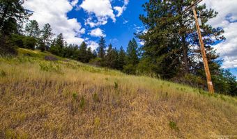0 Whitetail Dr, Ahsahka, ID 83520
