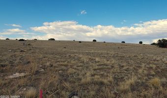 1 County Road 5088, Concho, AZ 85924