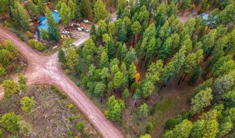 COUNTY ROAD 2196, Alpine, AZ 85920