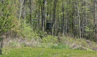 15252 27 Mile Rd, Albion, MI 49224