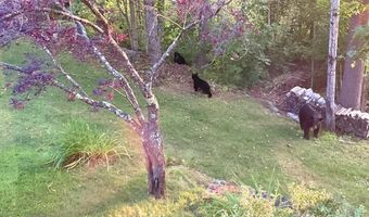 32 Merrill Rd, Campton, NH 03223
