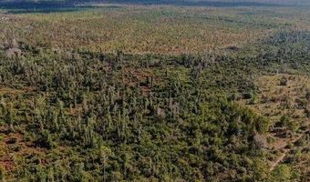 21526 NW Isoletta Ln, Altha, FL 32421