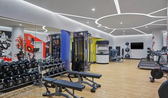 550 S Spring St F3-8, Aspen, CO 81611