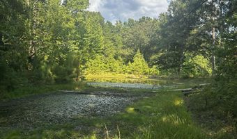 137 Shorter Rd, Braxton, MS 39044